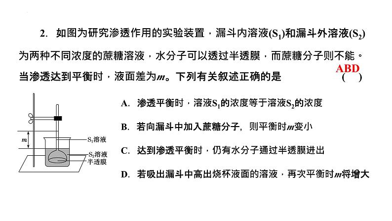 2023届高三生物复习课件水进出细胞的原理第6页