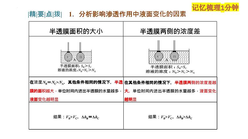 2023届高三生物复习课件水进出细胞的原理第7页