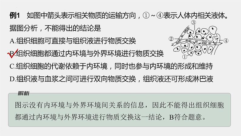 2023届高三生物轮复习课件微专题一　内环境的结构识别、跨膜分析及组织水肿原因03