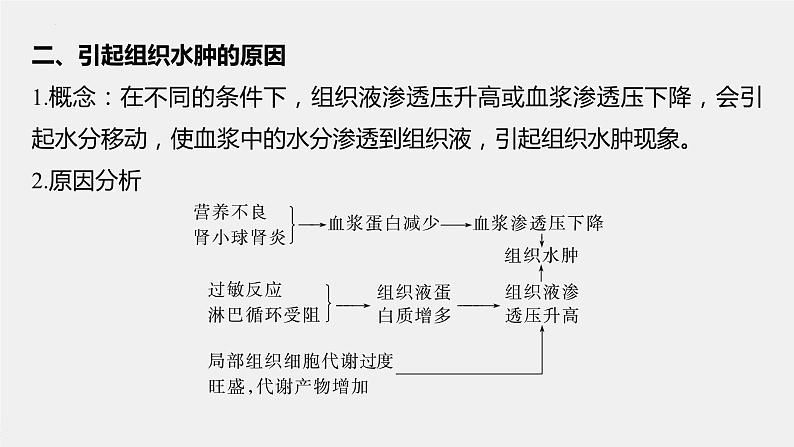 2023届高三生物轮复习课件微专题一　内环境的结构识别、跨膜分析及组织水肿原因06