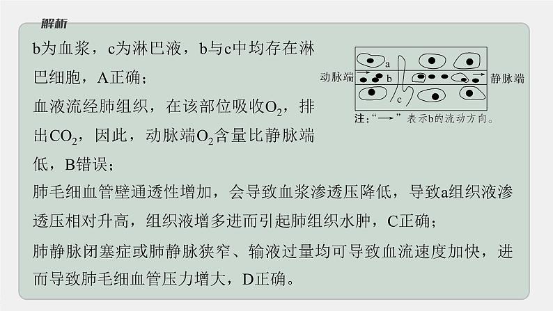 2023届高三生物轮复习课件微专题一　内环境的结构识别、跨膜分析及组织水肿原因08