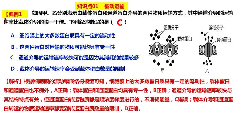 2023届高三生物复习课件物质出入细胞的方式及影响因素04