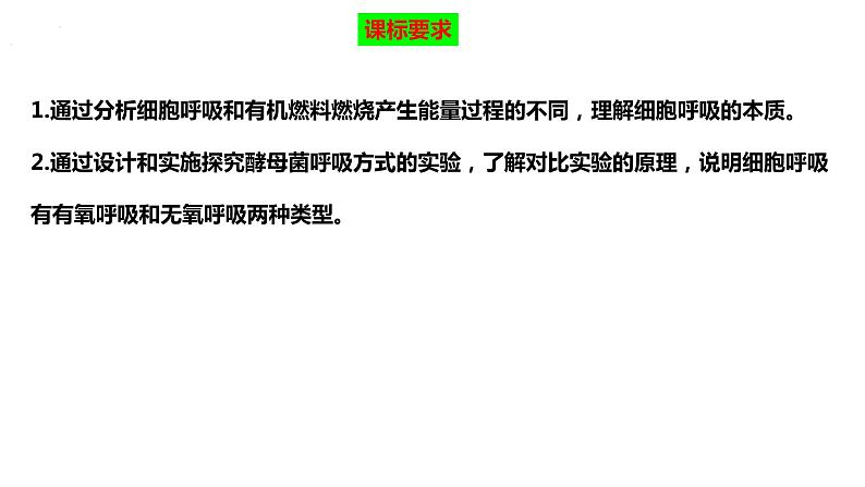 2023届高三生物复习课件细胞呼吸的原理和应用第2页