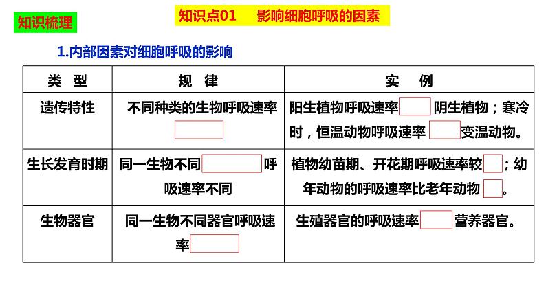 2023届高三生物复习课件影响细胞呼吸的因素03