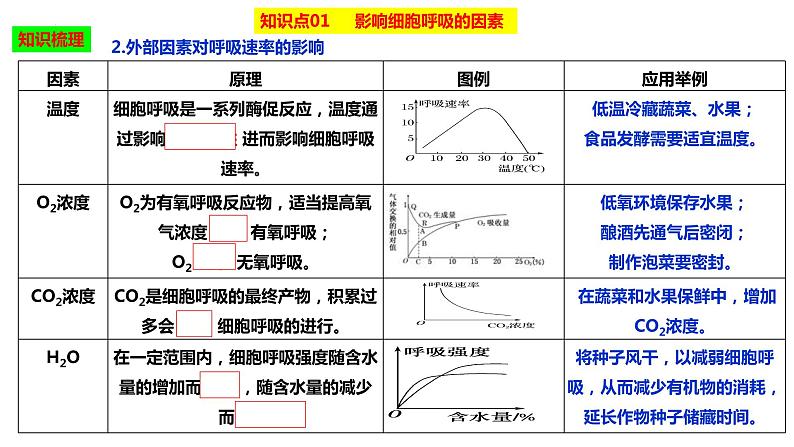 2023届高三生物复习课件影响细胞呼吸的因素04