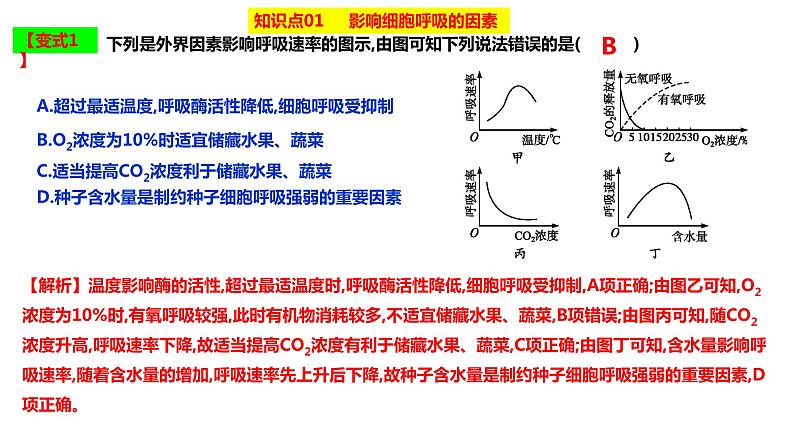 2023届高三生物复习课件影响细胞呼吸的因素06