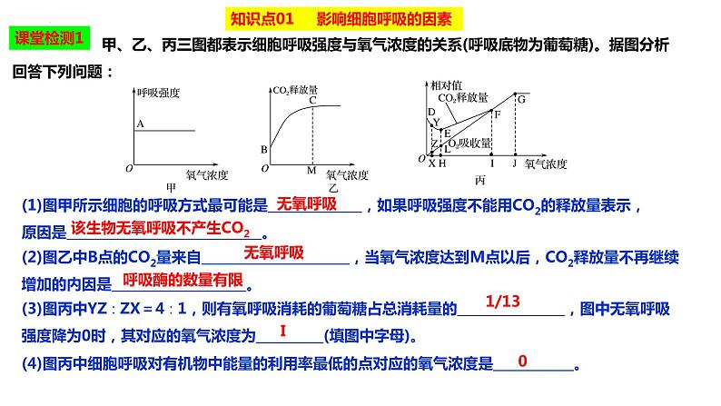 2023届高三生物复习课件影响细胞呼吸的因素07