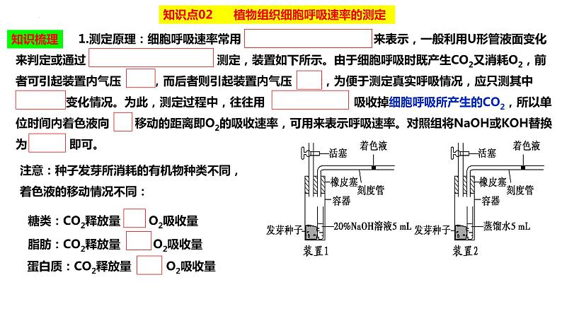 2023届高三生物复习课件影响细胞呼吸的因素08