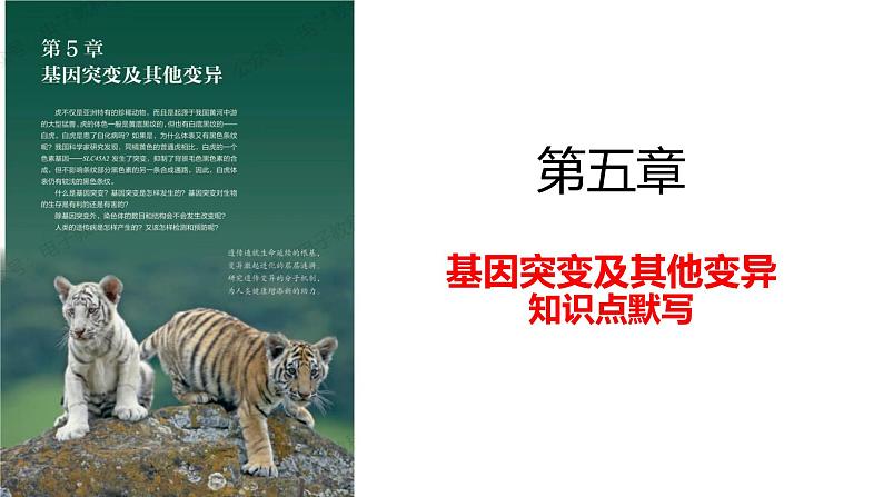 2023届高三复习生物：基因突变及其他变异知识点复习课件第1页