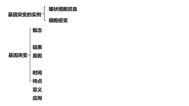 2023届高三复习生物：基因突变及其他变异知识点复习课件第2页