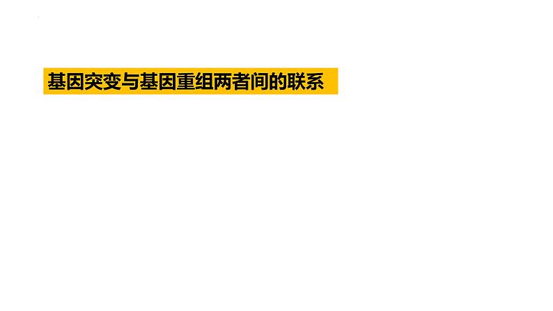 2023届高三复习生物：基因突变及其他变异知识点复习课件第4页