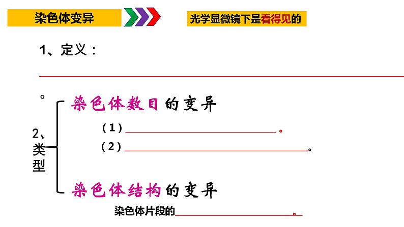 2023届高三复习生物：基因突变及其他变异知识点复习课件第5页