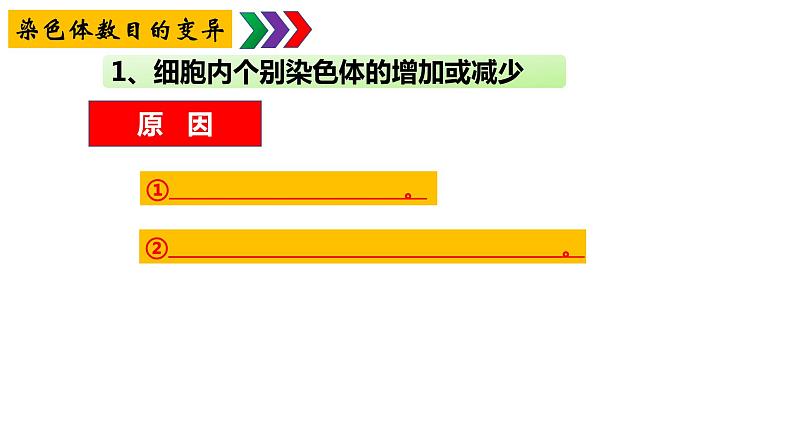 2023届高三复习生物：基因突变及其他变异知识点复习课件第6页