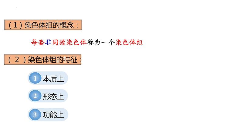 2023届高三复习生物：基因突变及其他变异知识点复习课件第8页