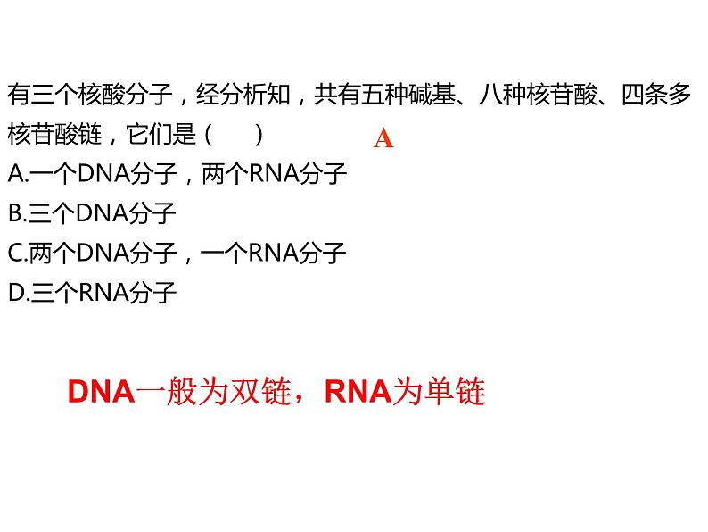 2024届高三生物第复习：核酸 课件08