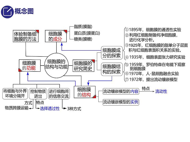 2024届高三生物第复习课件：细胞膜和细胞核第2页