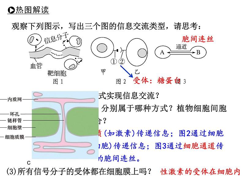 2024届高三生物第复习课件：细胞膜和细胞核第6页