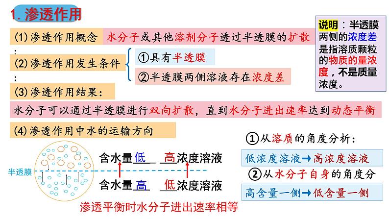 2024届高三生物复习第6讲　细胞的物质输入和输出课件PPT第5页