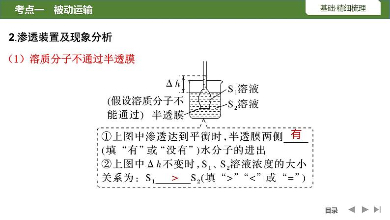 2024届高三生物复习第6讲　细胞的物质输入和输出课件PPT第6页