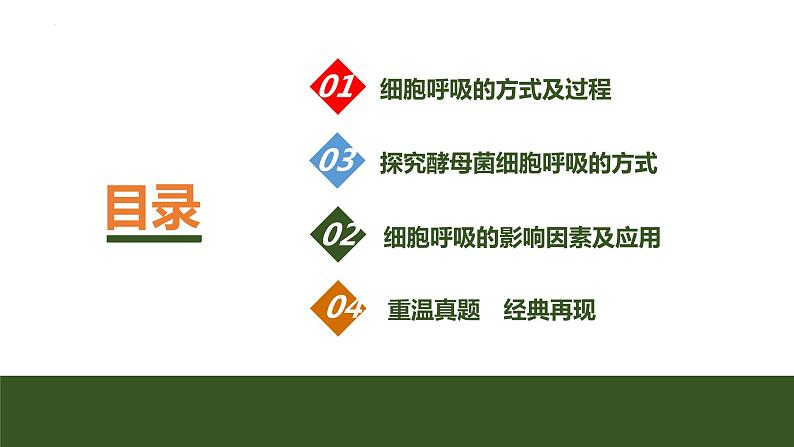 2024届高三生物复习第8讲　细胞呼吸的原理和应用课件PPT第2页