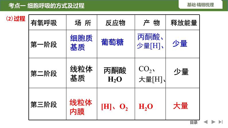 2024届高三生物复习第8讲　细胞呼吸的原理和应用课件PPT第5页