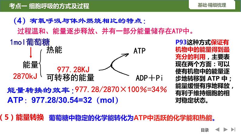 2024届高三生物复习第8讲　细胞呼吸的原理和应用课件PPT第7页