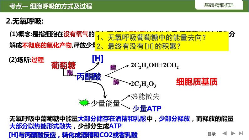 2024届高三生物复习第8讲　细胞呼吸的原理和应用课件PPT第8页