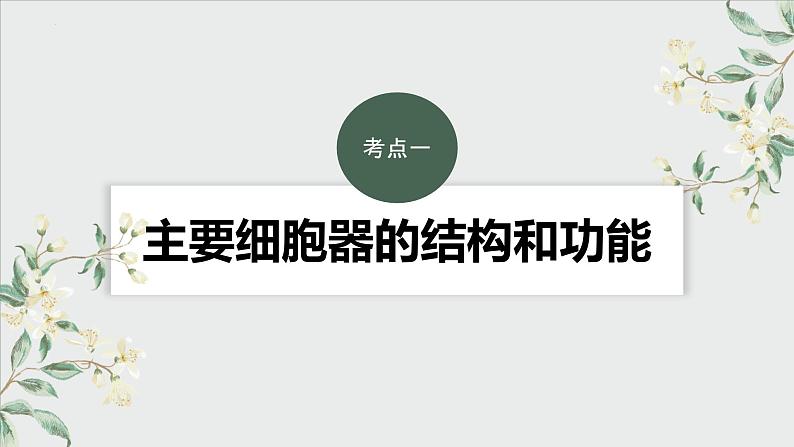 2024届高三生物复习课件3.2 细胞器之间的分工合作第2页