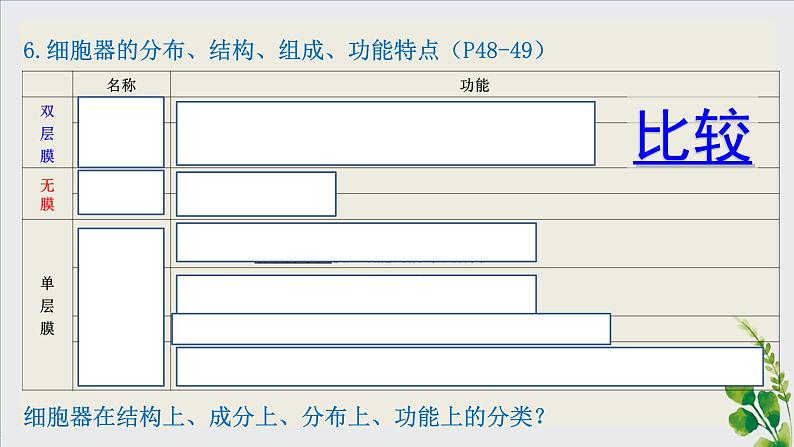 2024届高三生物复习课件3.2 细胞器之间的分工合作第4页