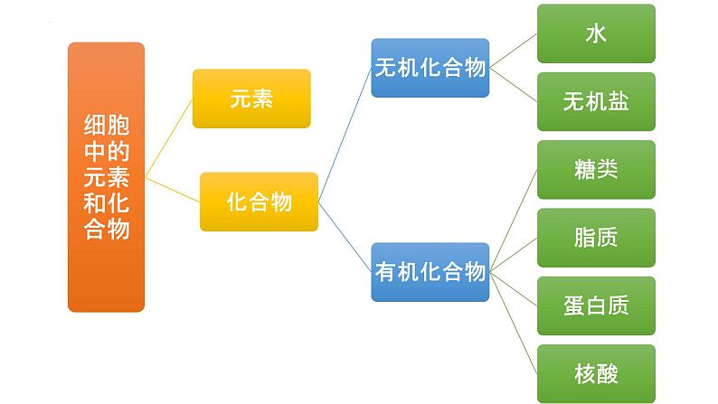 2024届高三生物复习课件第2讲 细胞中的元素和化合物03