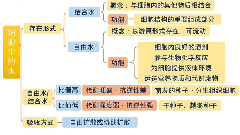 2024届高三生物复习课件第2讲 细胞中的元素和化合物05