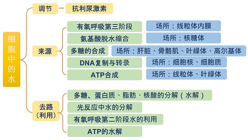 2024届高三生物复习课件第2讲 细胞中的元素和化合物06