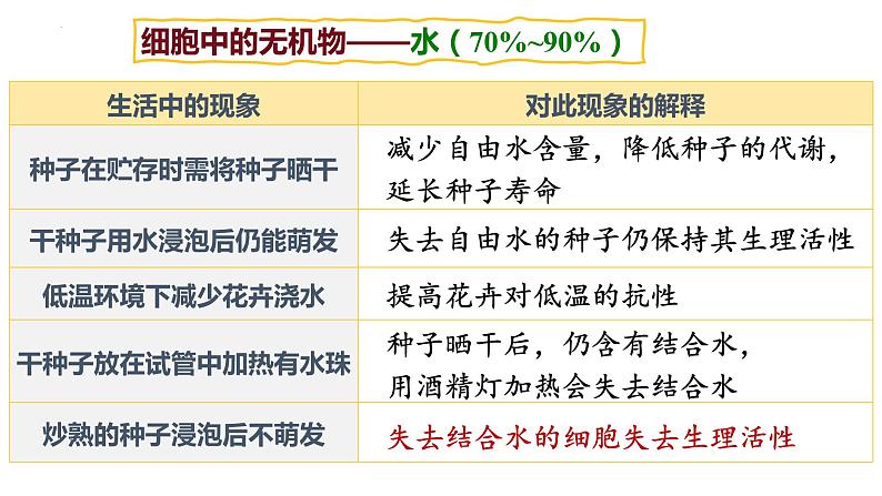 2024届高三生物复习课件第2课时 细胞中的无机物、糖类和脂质第6页