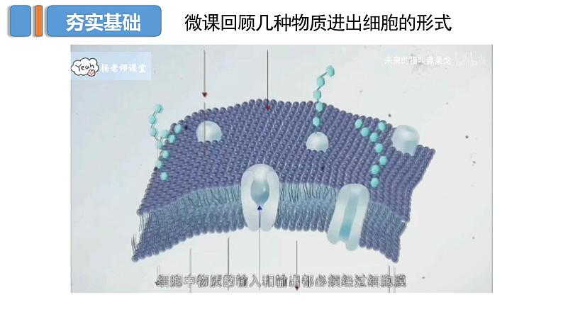 山东省2023届高三生物复习课件高考物质进出细胞的方式专题05