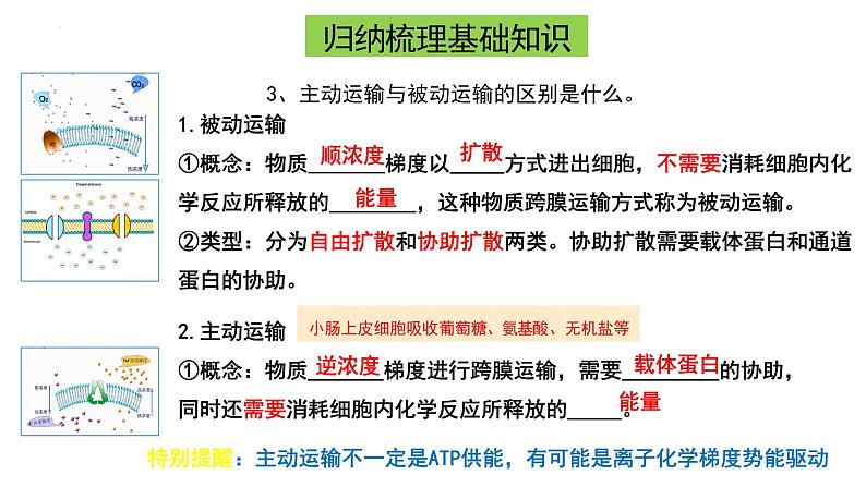 山东省2023届高三生物复习课件高考物质进出细胞的方式专题08