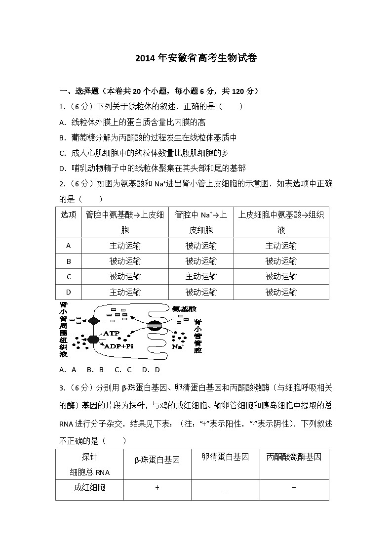 2014年安徽省高考生物试卷第1页