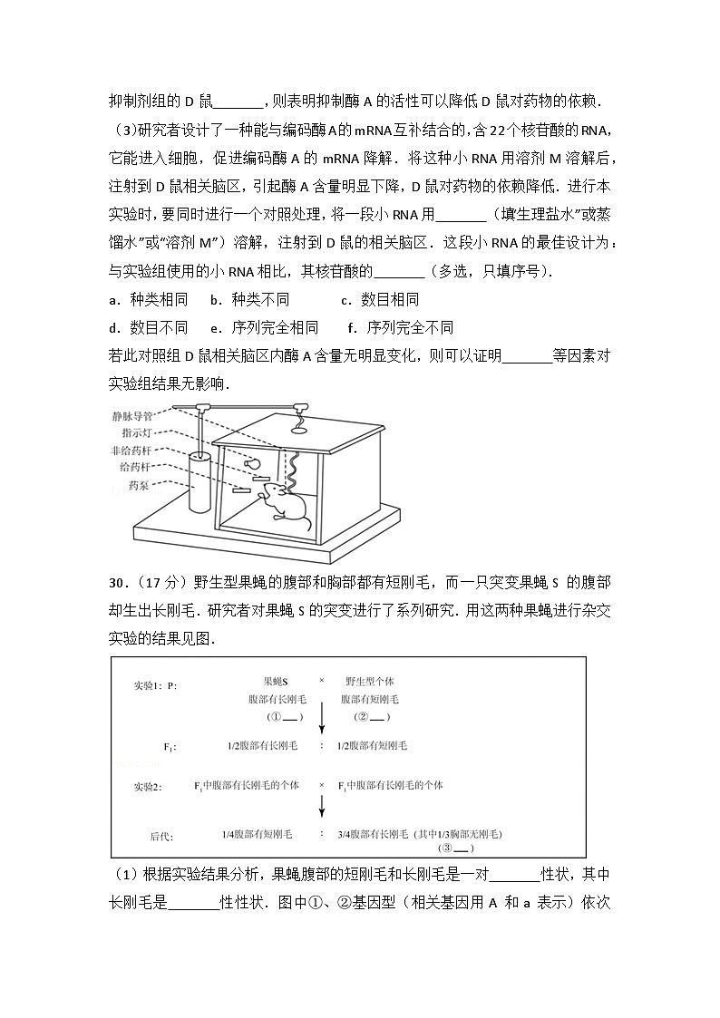 2015年北京市高考生物试卷第3页