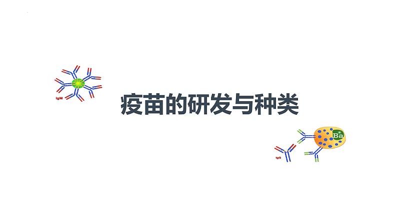 2023届高三三轮冲刺生物：新冠病毒疫苗的研发与接种课件第2页