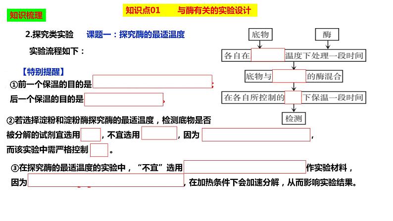 2023届高三生物复习课件降低化学反应活化能的酶05