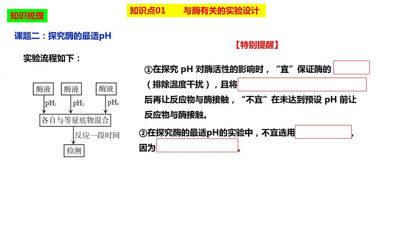 2023届高三生物复习课件降低化学反应活化能的酶06