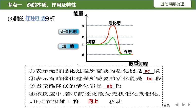 2024届高三生物复习第7讲　降低化学反应活化能的酶课件PPT第6页