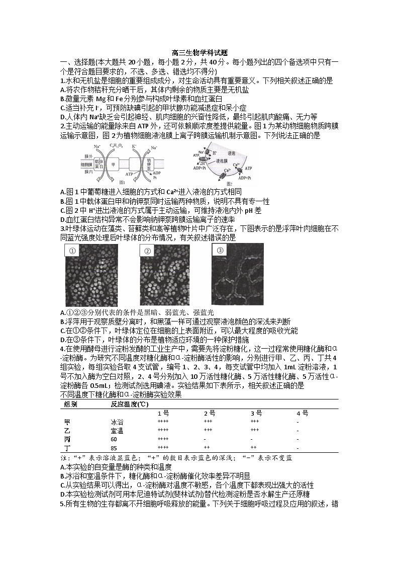 浙江省北斗星盟2022-2023学年高三生物下学期联考试题（Word版附答案）第1页