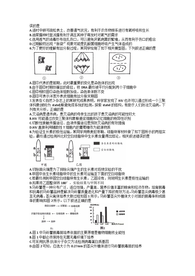 浙江省北斗星盟2022-2023学年高三生物下学期联考试题（Word版附答案）第2页