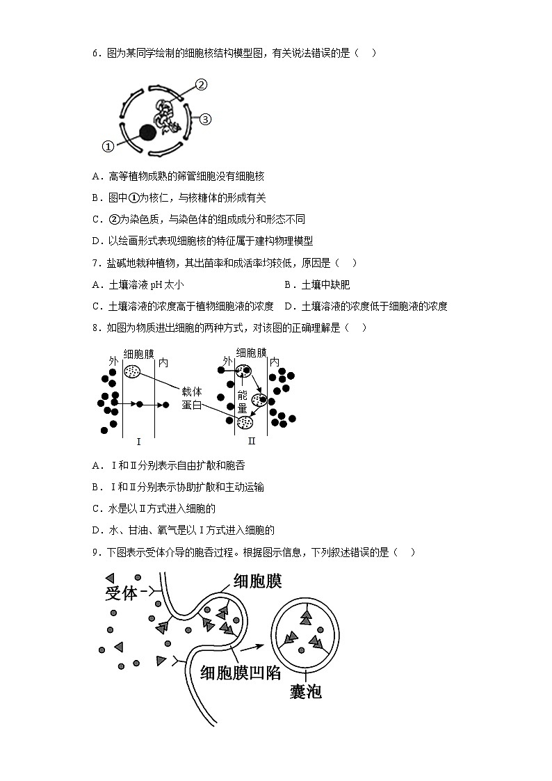2022年12月山东省普通高中学业水平合格性考试生物模拟卷（三）（考试版）第2页