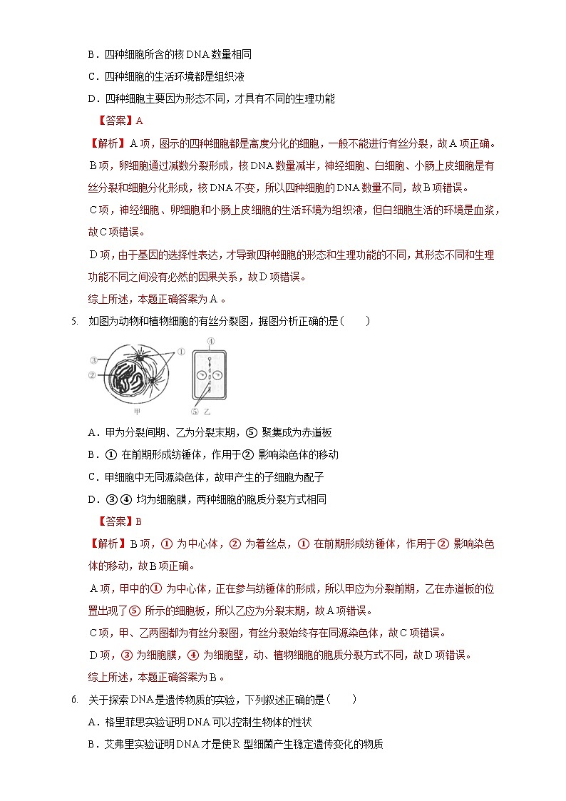 2023年3月辽宁省普通高中学业水平合格性考试生物模拟卷（三）（解析版）第3页