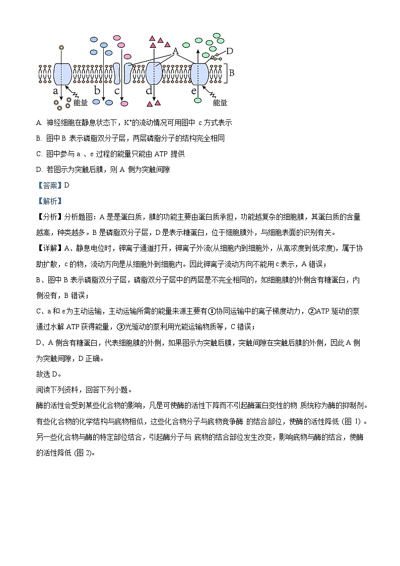 浙江省四校2023届高三生物下学期模拟考试试题（Word版附解析）03