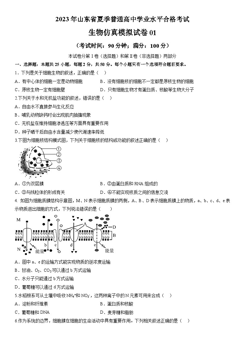 2023年山东省夏季普通高中学业水平合格考试生物模拟卷01（考试版）第1页