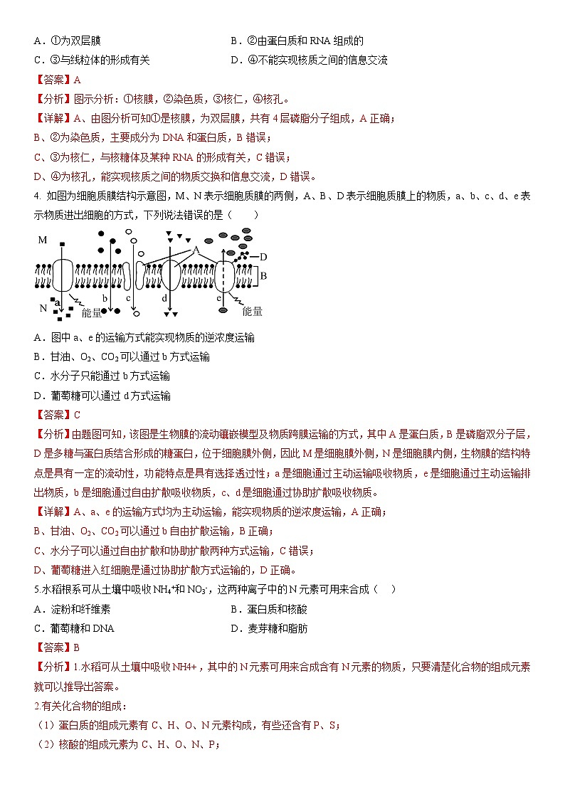 2023年山东省夏季普通高中学业水平合格考试生物模拟卷01（解析版）第2页