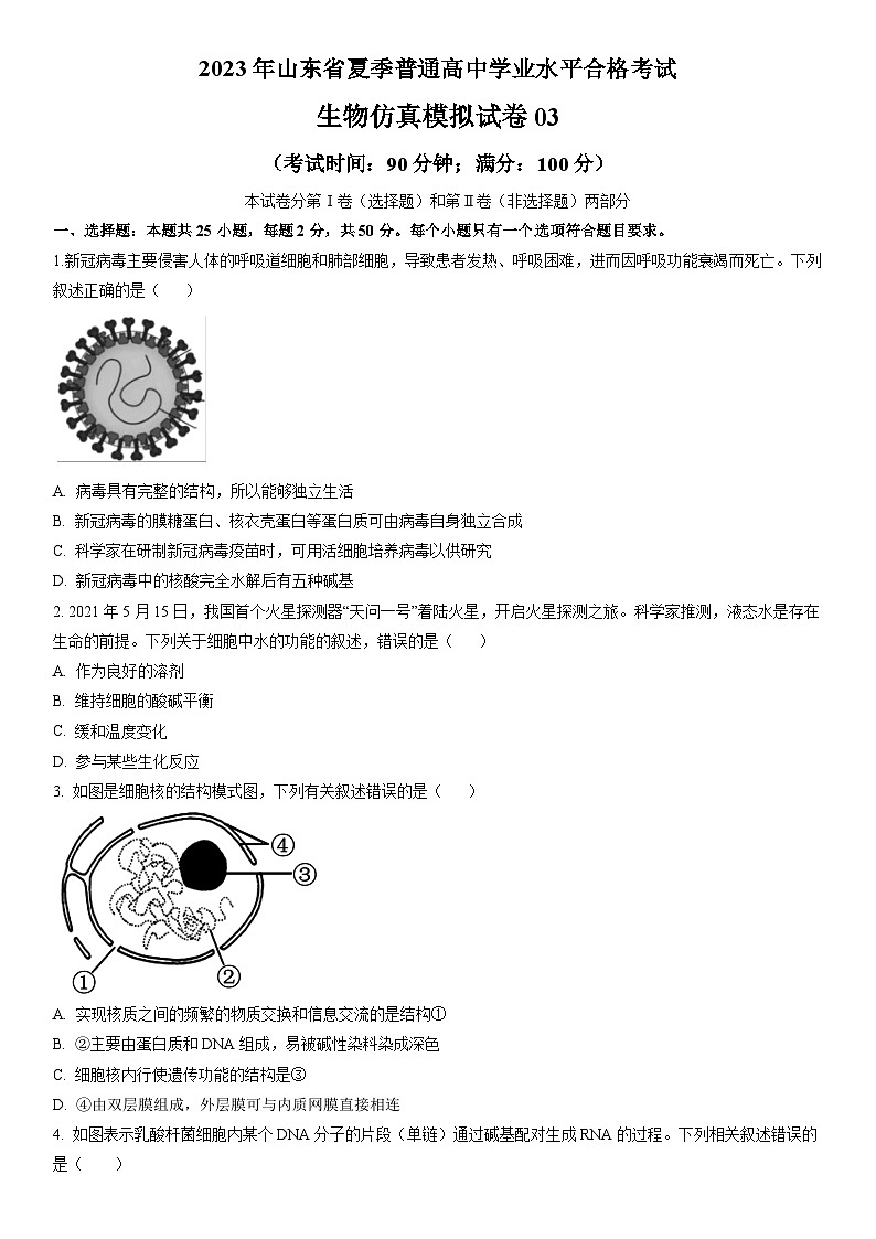 2023年山东省夏季普通高中学业水平合格考试生物模拟卷03（考试版）第1页