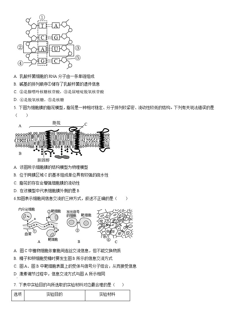2023年山东省夏季普通高中学业水平合格考试生物模拟卷03（考试版）第2页